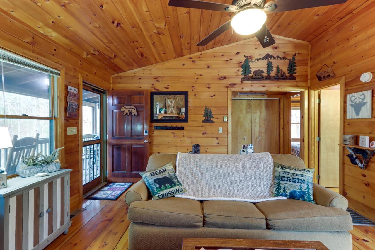 Blue Ridge Cozy Cabin In The Woods With Hot Tub! 外观 照片