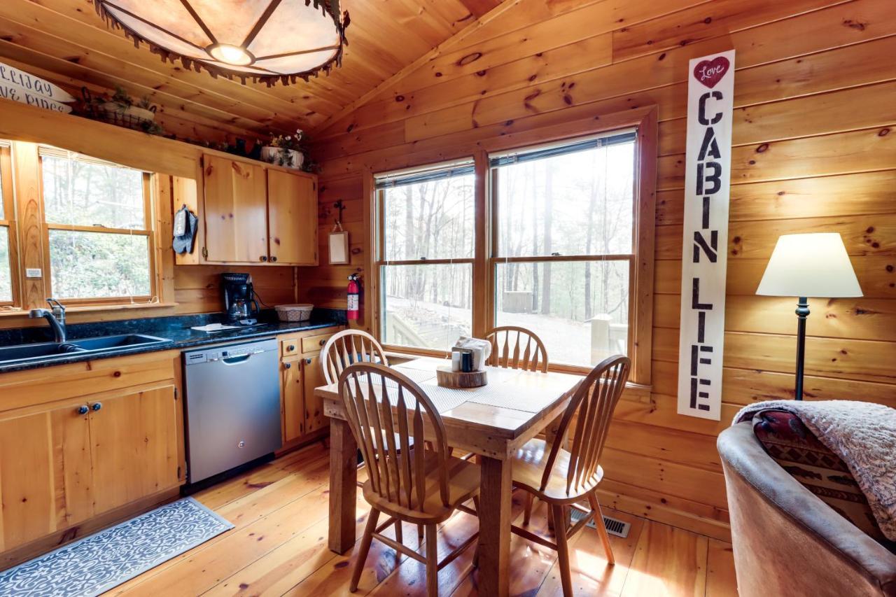 Blue Ridge Cozy Cabin In The Woods With Hot Tub! 外观 照片